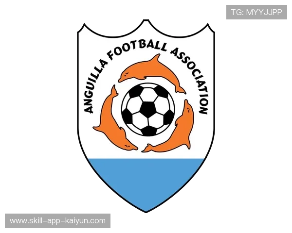 足球战略研讨会聚焦国际化发展方向，足球振兴战略